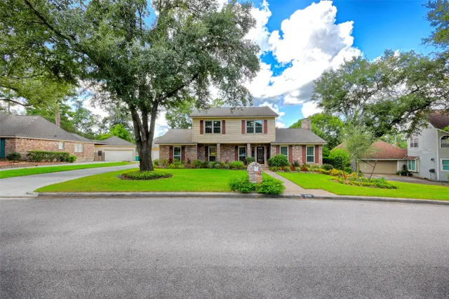 a view of road with plants and large trees