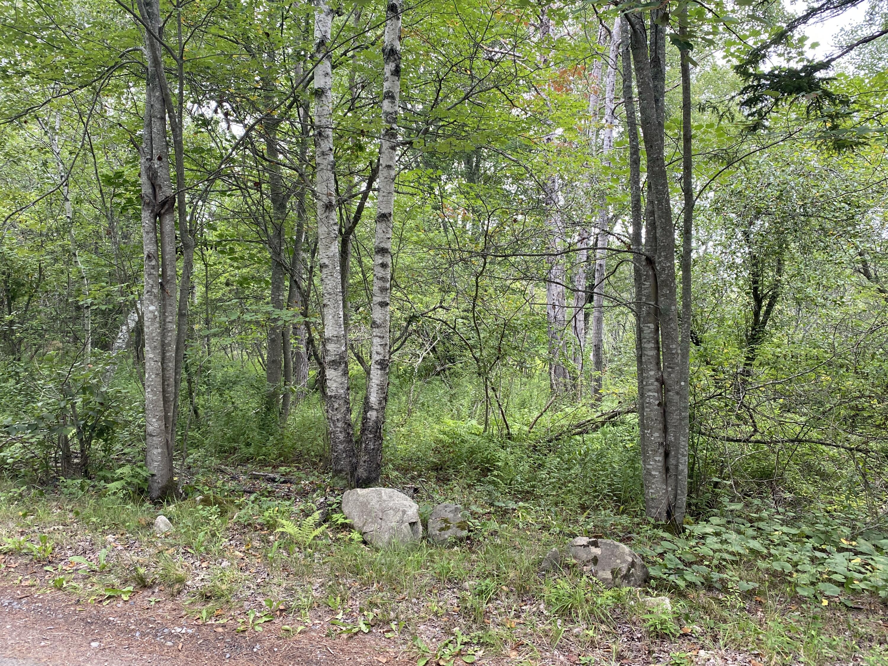 0 States Point Road Tenants Harbor, ME 04860 - Photo 22 of 25 C92A0A8C-DE47-4942-BC35-72280FB03481