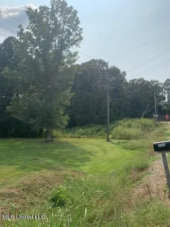 $999,999 | 3049 Pleasant Hill Road, Nesbit, MS 38651