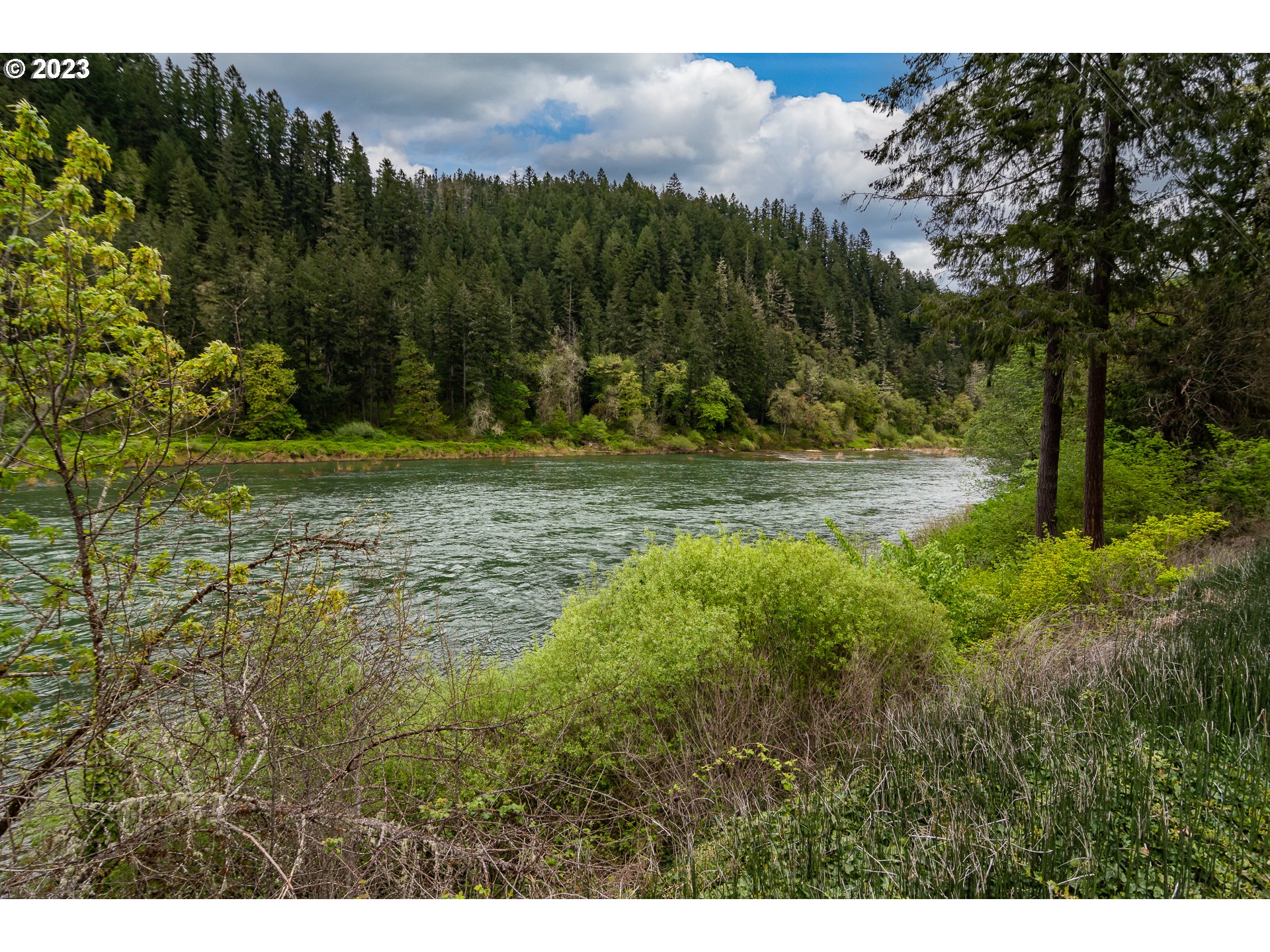 11533 Tyee Road Umpqua, OR 97486 - Photo 38 of 45 a view of a yard with an trees