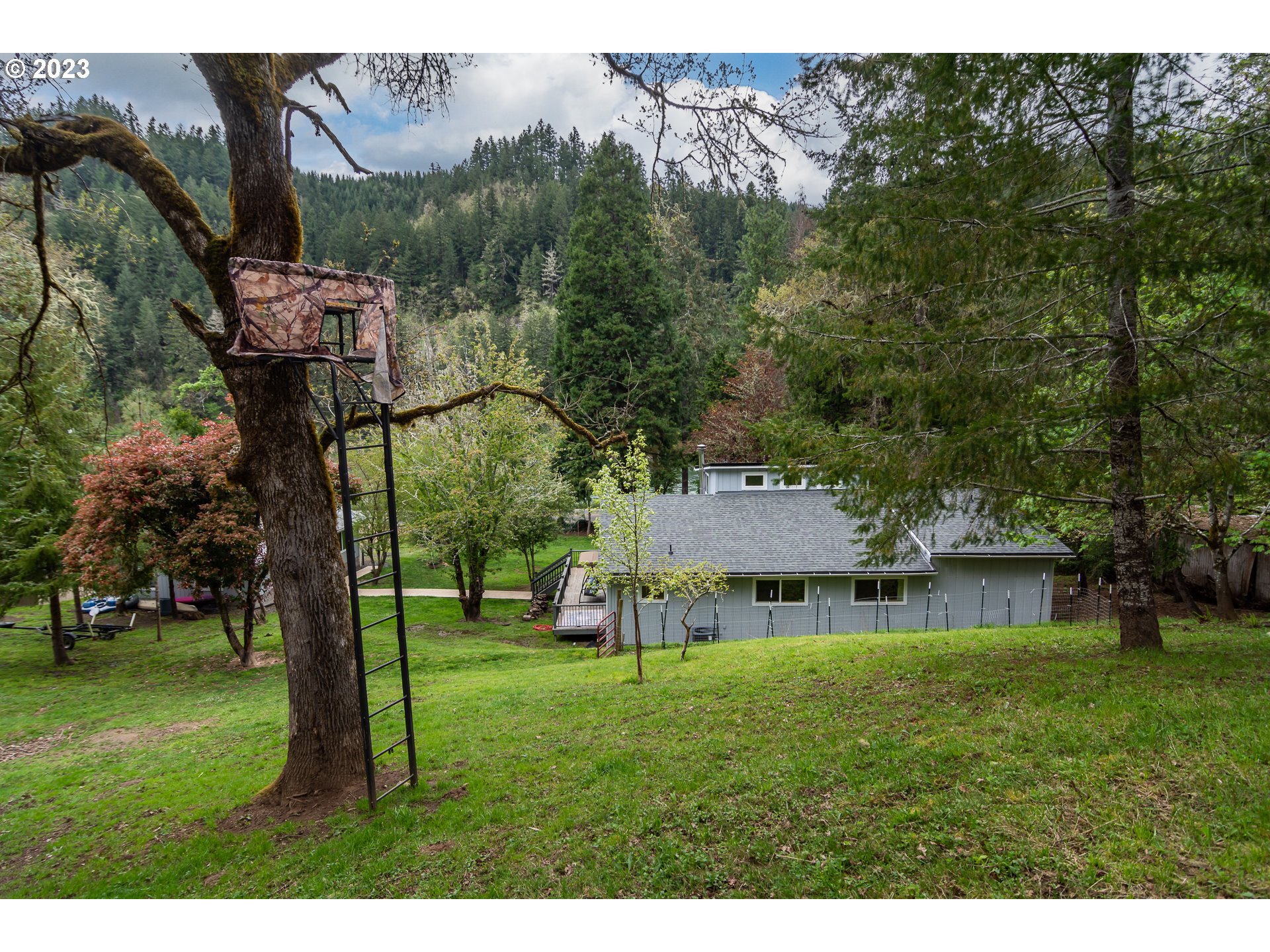 11533 Tyee Road Umpqua, OR 97486 - Photo 41 of 45 a view of a big house with a big yard and large tree