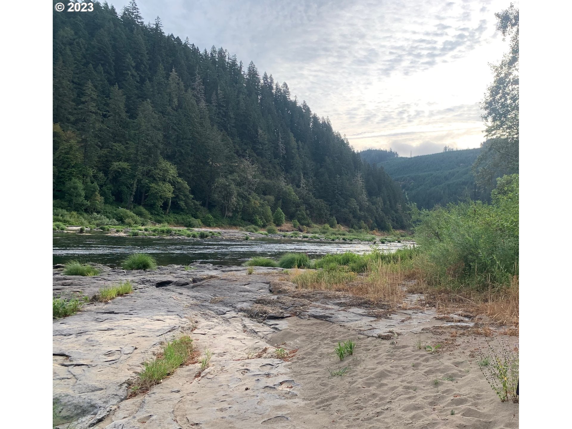 11533 Tyee Road Umpqua, OR 97486 - Photo 44 of 45 a view of a road with a yard