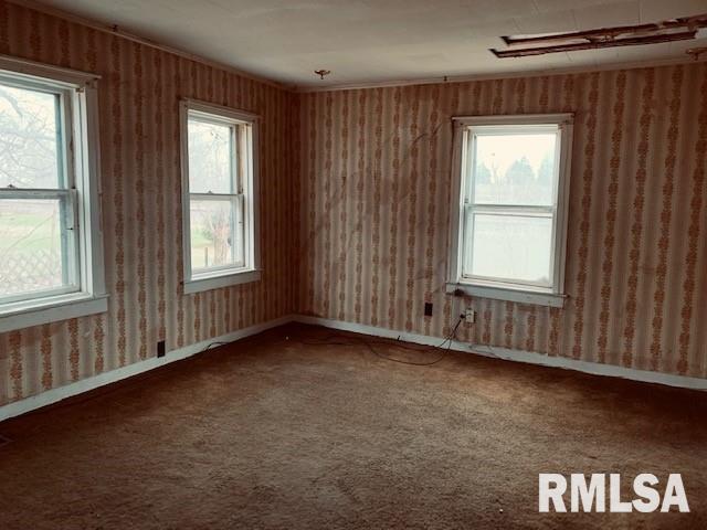 19579 Fellows Road Morrison, IL 61270 - Photo 11 of 17