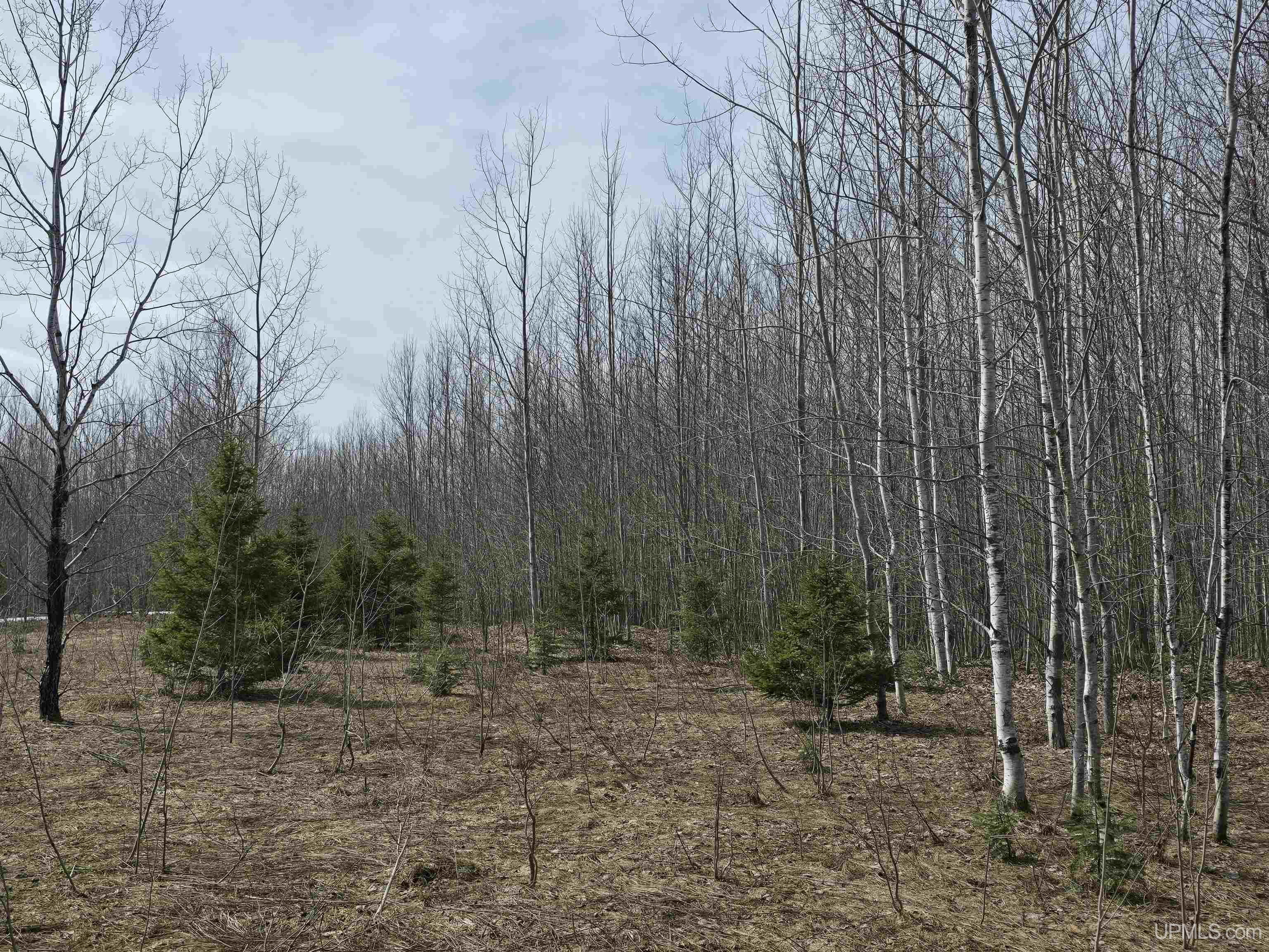 Tbd Woodspur Road Ontonagon, MI 49953 - Photo 5 of 46