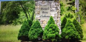 Old Leadmine Bend Road, Unit 5 Sharps Chapel, TN 37866 - Photo 11 of 13 Pinnacle Pointe sign to Club House