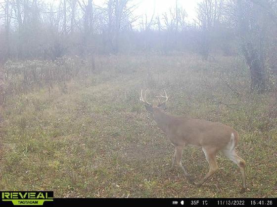 6477 Decker Road Orleans, MI 48865 - Photo 11 of 11 thumbnail_315356