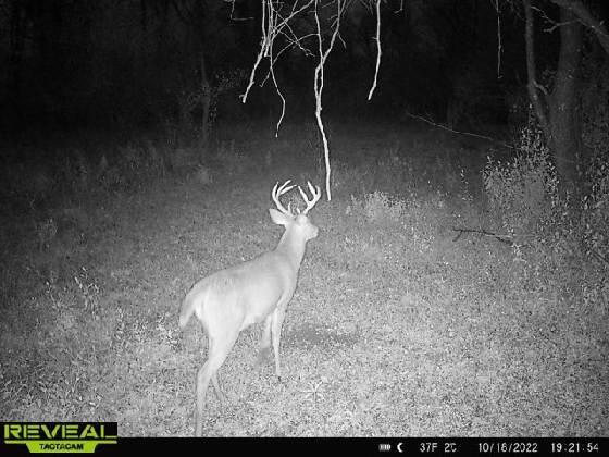 6477 Decker Road Orleans, MI 48865 - Photo 6 of 11 thumbnail_315348