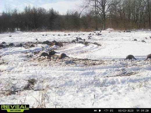 6477 Decker Road Orleans, MI 48865 - Photo 10 of 11 thumbnail_315354