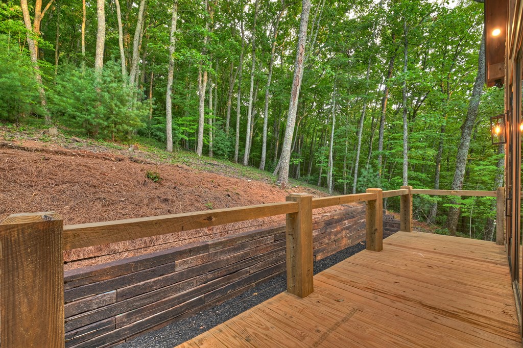 2 Aubery Ridge Morganton, GA 30560 - Photo 40 of 57
