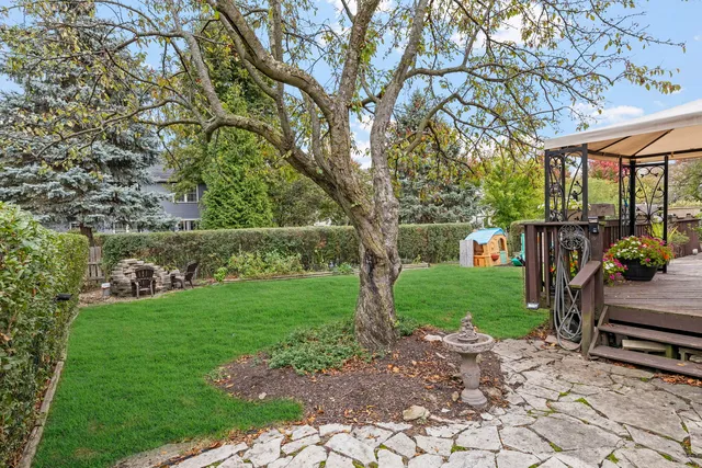 a view of a garden with a bench and a large tree