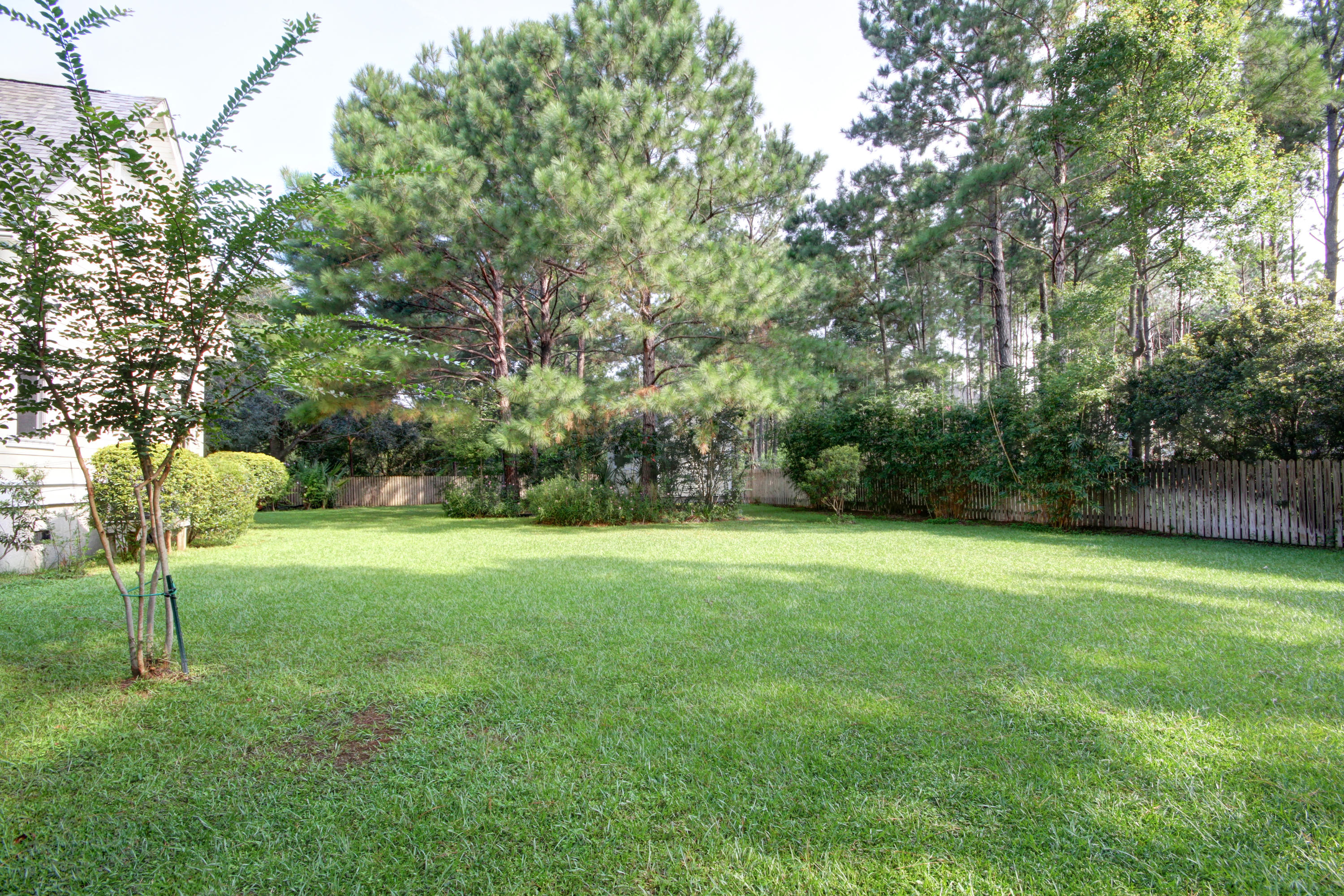 363 Commonwealth Road Mount Pleasant, SC 29466 - Photo 53 of 54 363 Commonwealth_Backyard