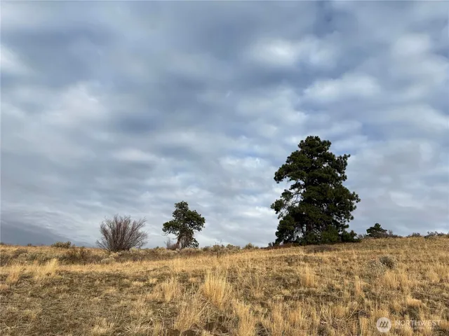 $49,000 | -xx Deer Crk Drive, Waterville, WA 98858