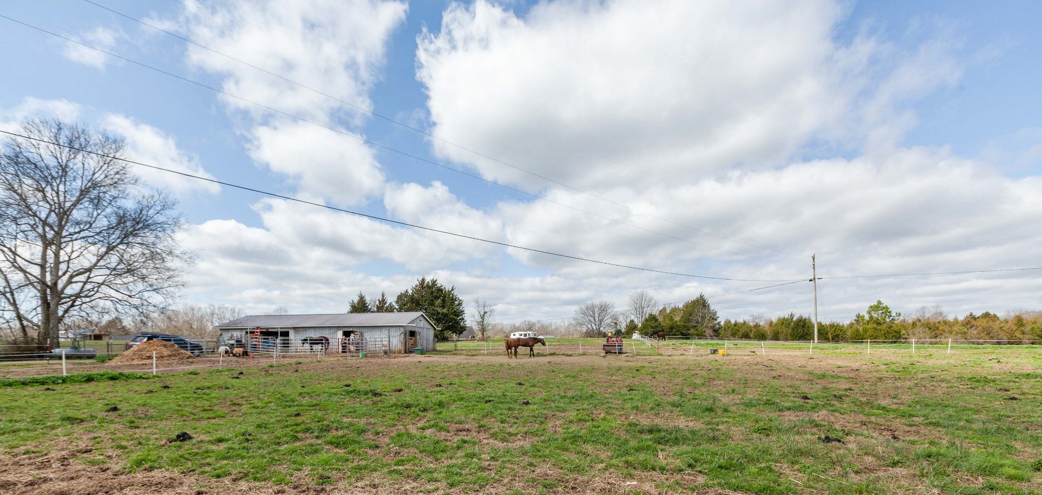1370 McCool Road Lewisburg, TN 37091 - Photo 18 of 19 a view of a green field