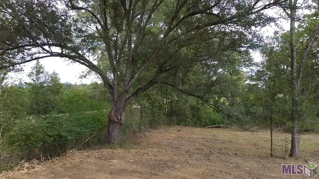 $22,500 | 21152 La Highway, Kentwood, LA 70444