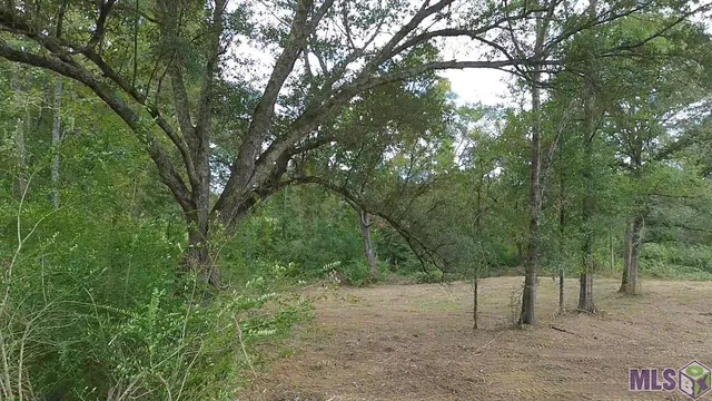 $22,500 | 21152 La Highway, Kentwood, LA 70444