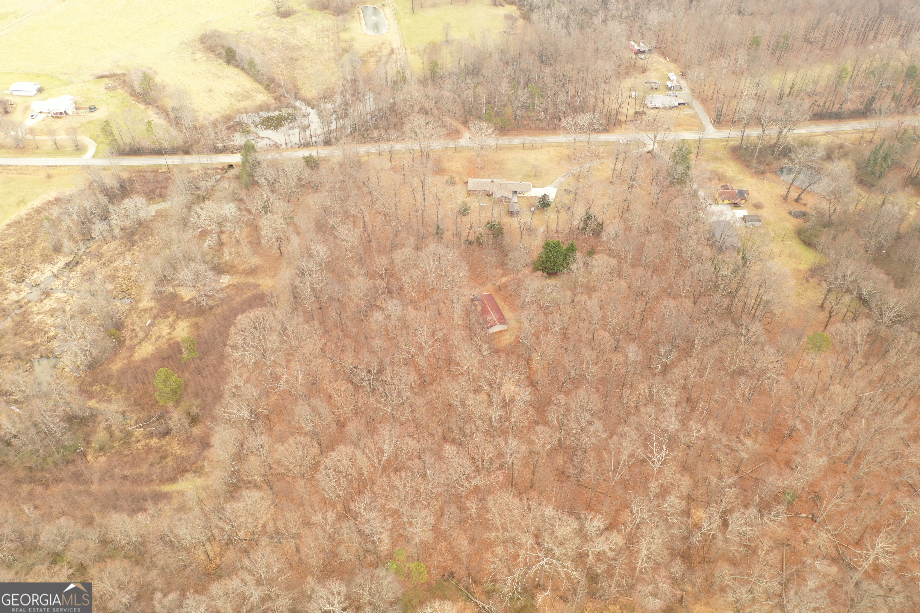 436 Tommy Irvin Road Mount Airy, GA 30563 - Photo 33 of 84