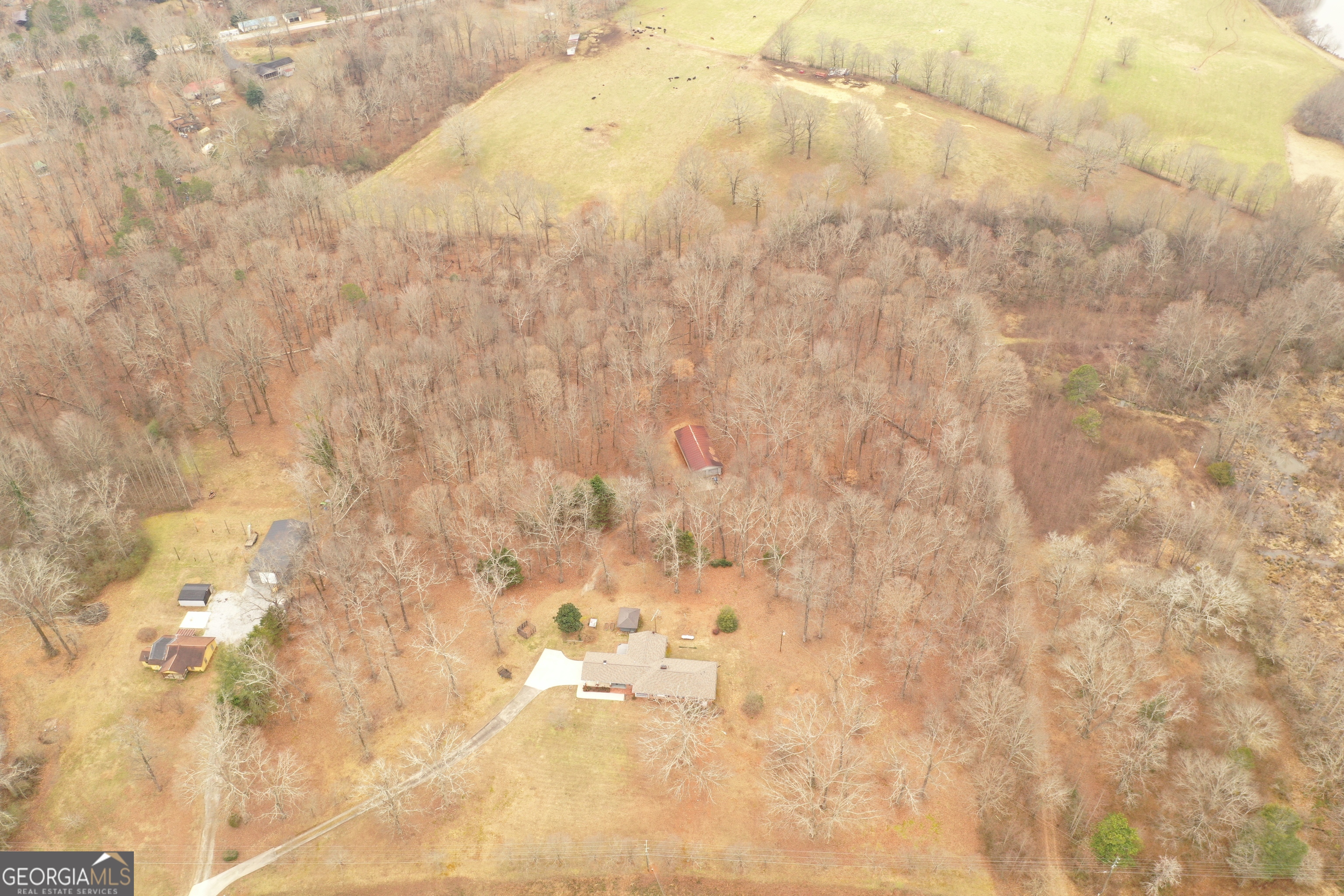 436 Tommy Irvin Road Mount Airy, GA 30563 - Photo 42 of 84