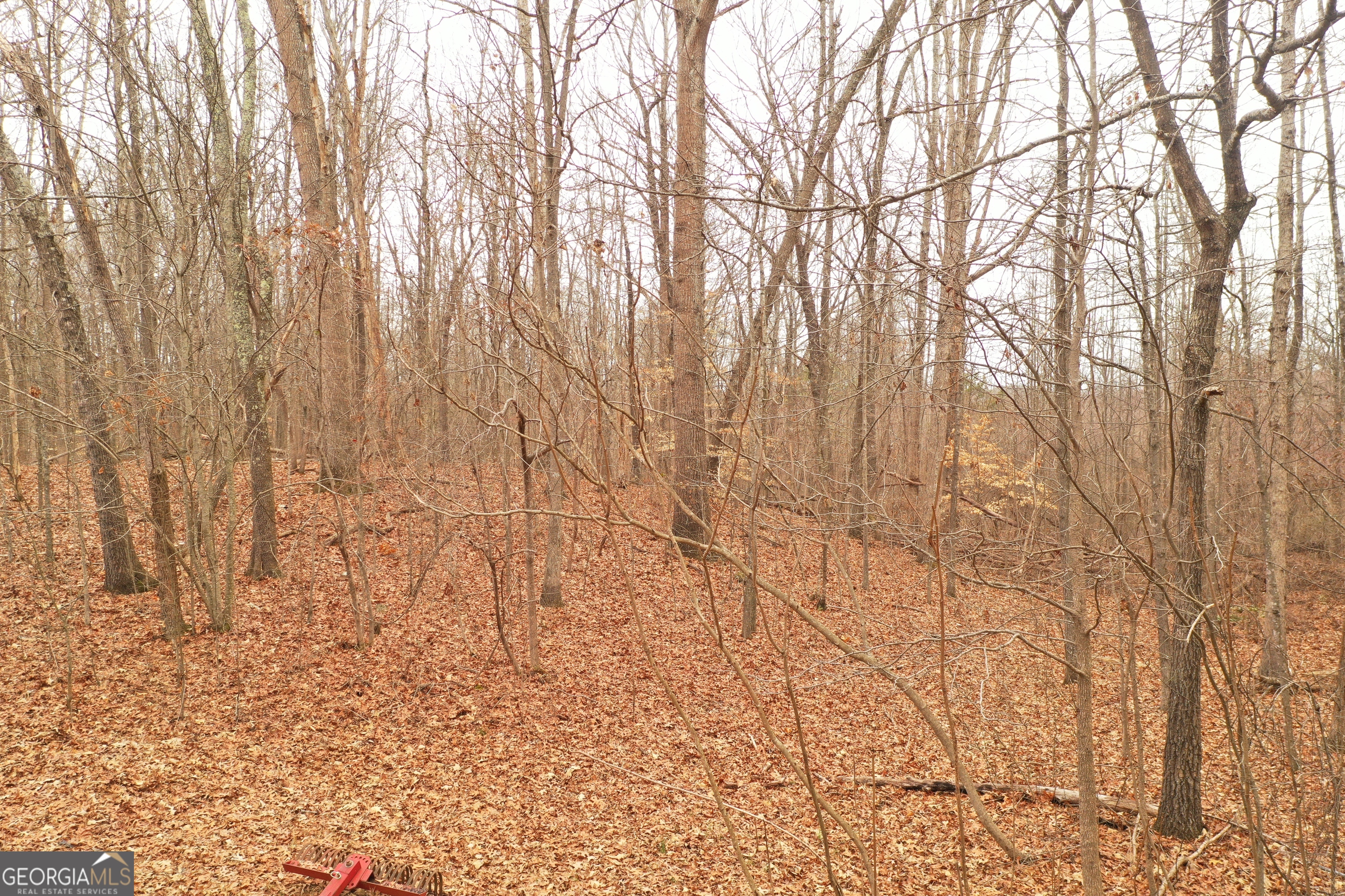 436 Tommy Irvin Road Mount Airy, GA 30563 - Photo 46 of 84