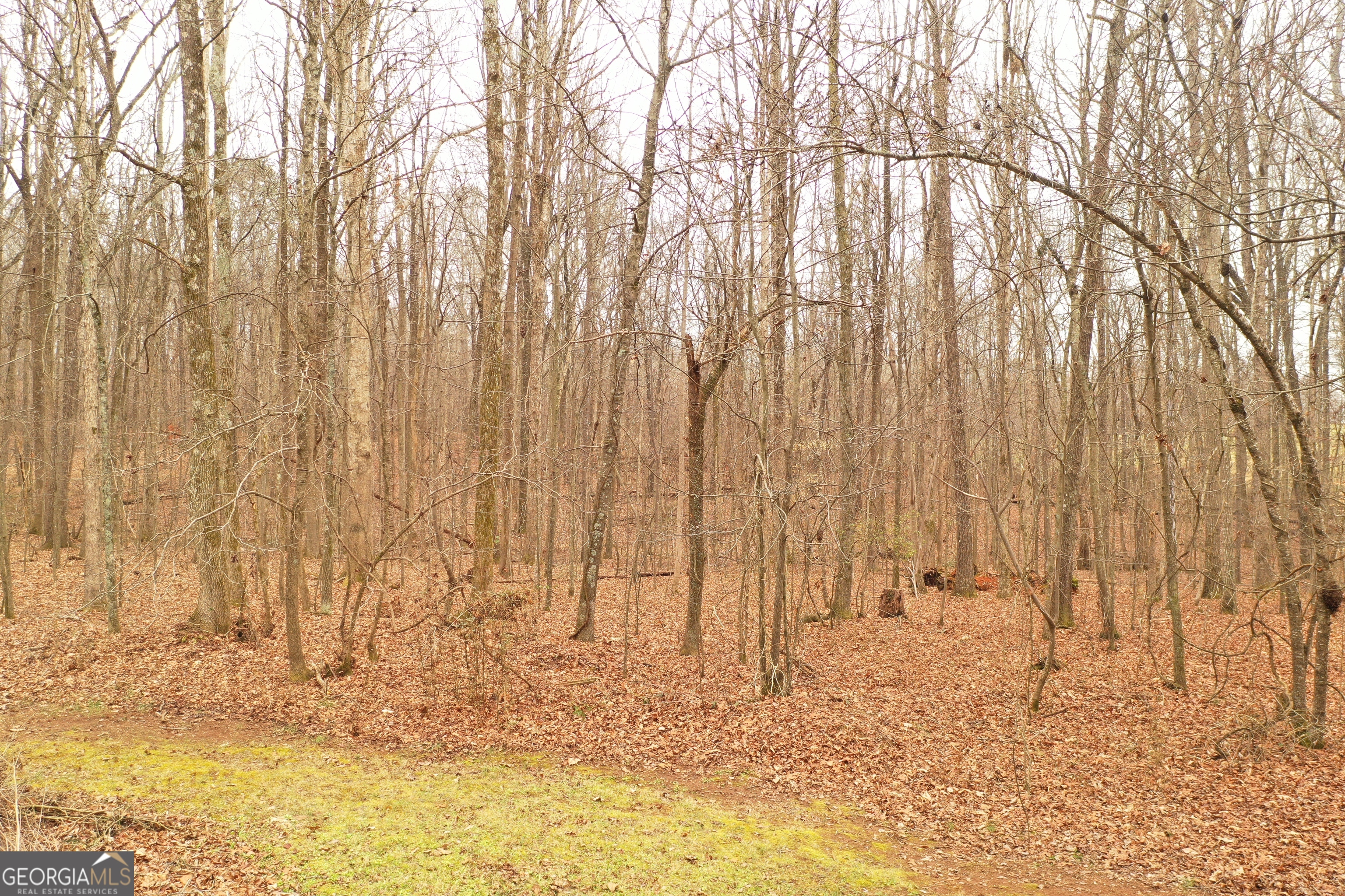 436 Tommy Irvin Road Mount Airy, GA 30563 - Photo 48 of 84