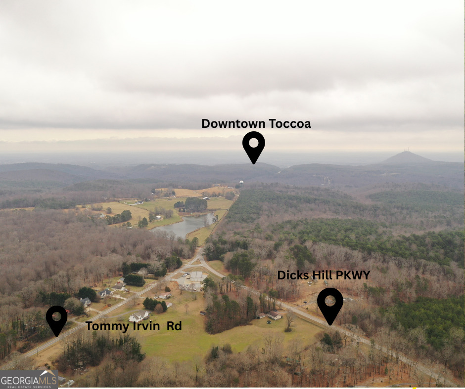 436 Tommy Irvin Road Mount Airy, GA 30563 - Photo 50 of 84