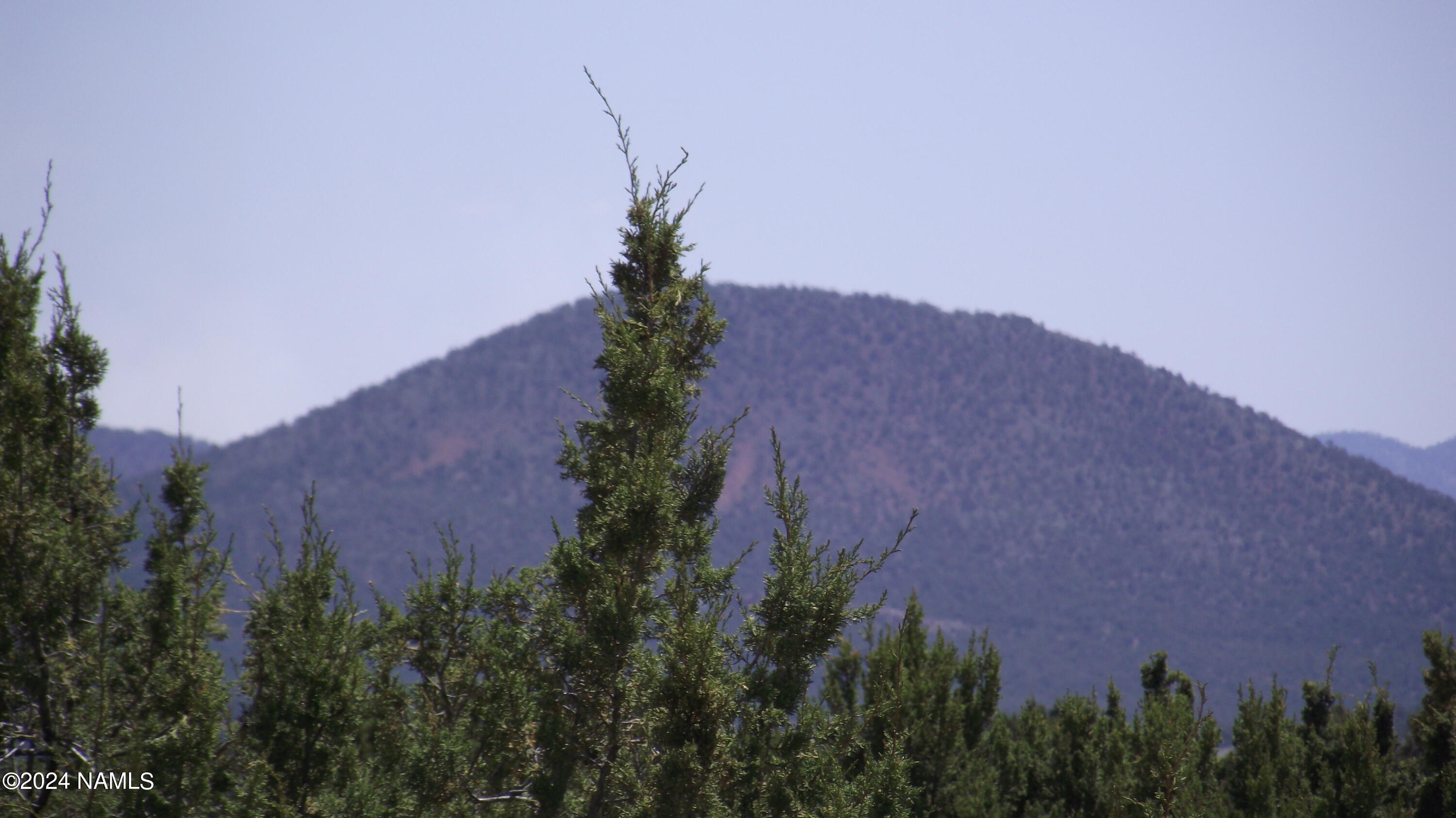 227 Mountain Cat Road, Unit 509 Williams, AZ 86046 - Photo 8 of 11 DSCF6946