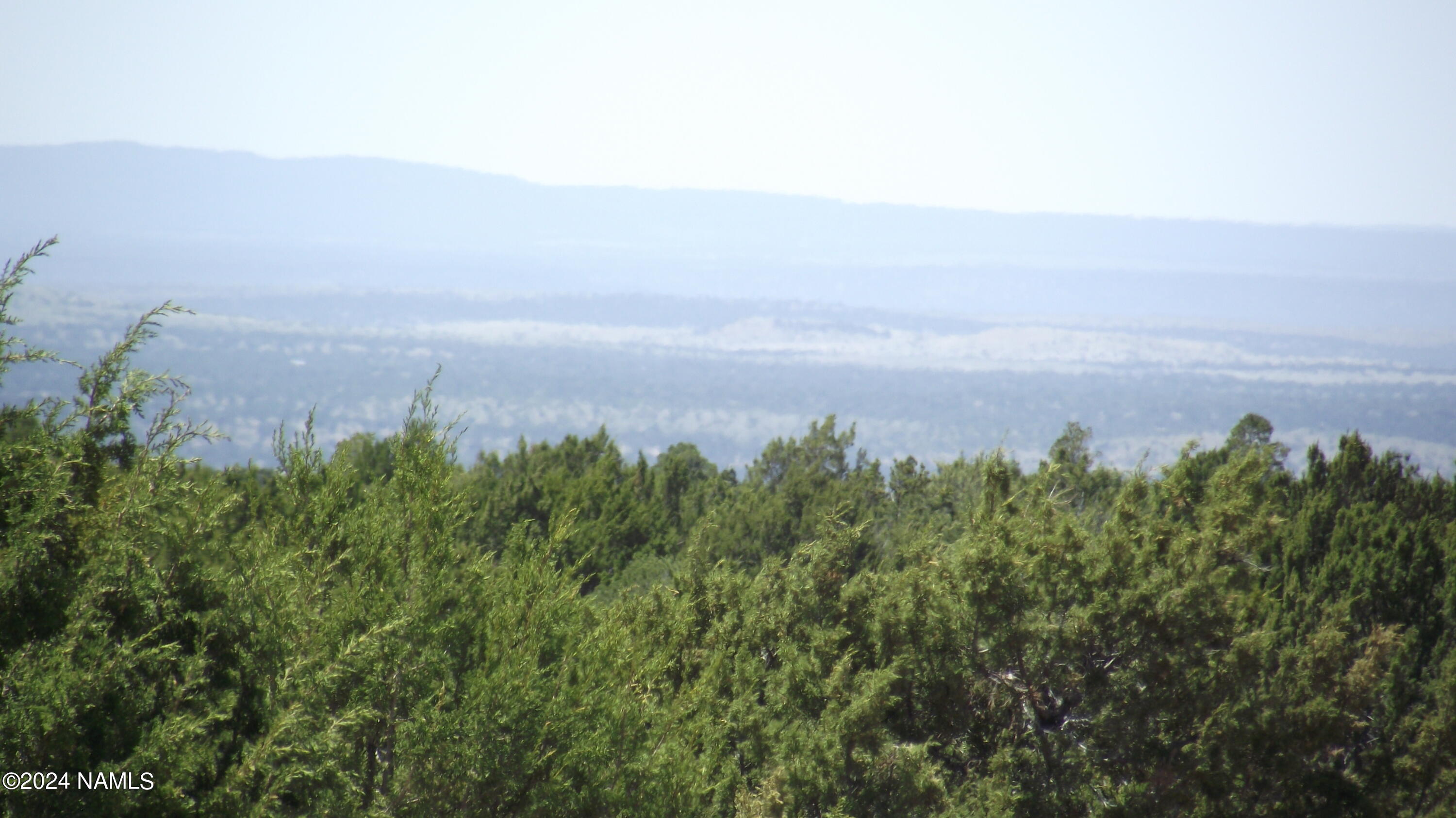 227 Mountain Cat Road, Unit 509 Williams, AZ 86046 - Photo 10 of 11 DSCF6950