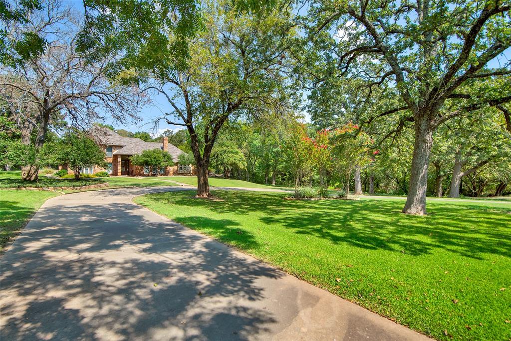 649 Anderson Road Whitesboro, TX 76273 - Photo 3 of 40 a huge green field with lots of trees