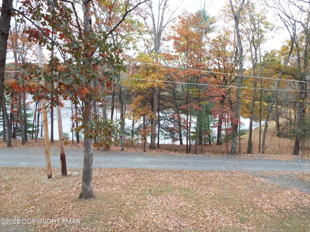 a white house with a white roof and a large tree