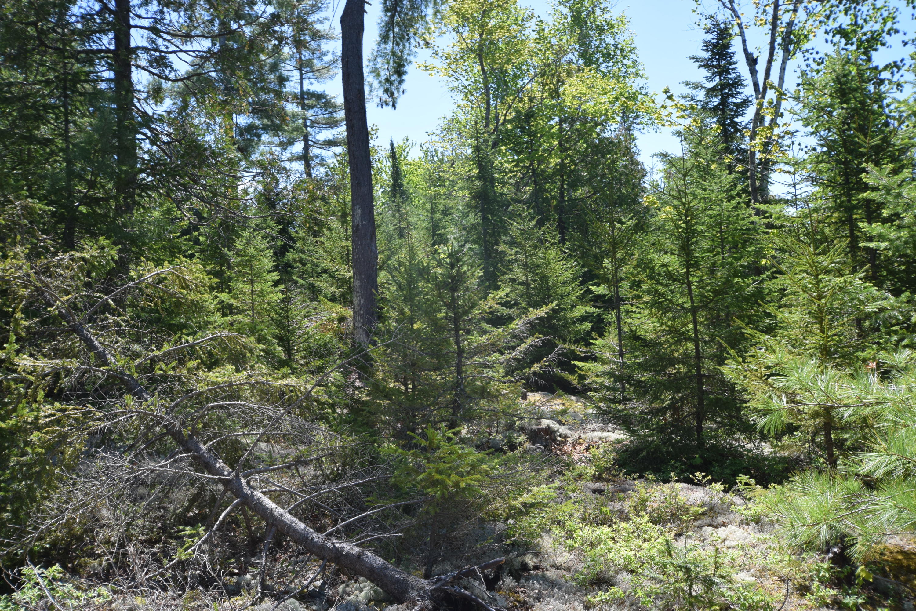 Lot 18 Tenney Hill Road Monson, ME 04464 - Photo 33 of 41 2020-06-01 22.57.34