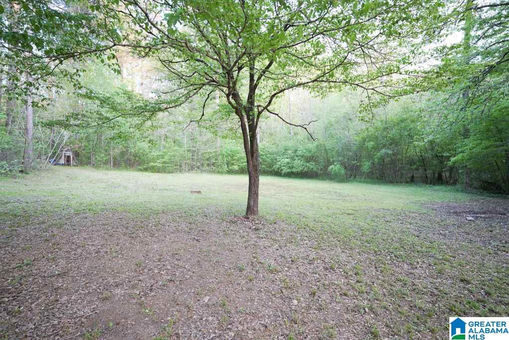1219 Hobby Salter Road Mulga, AL 35118 - Photo 5 of 37