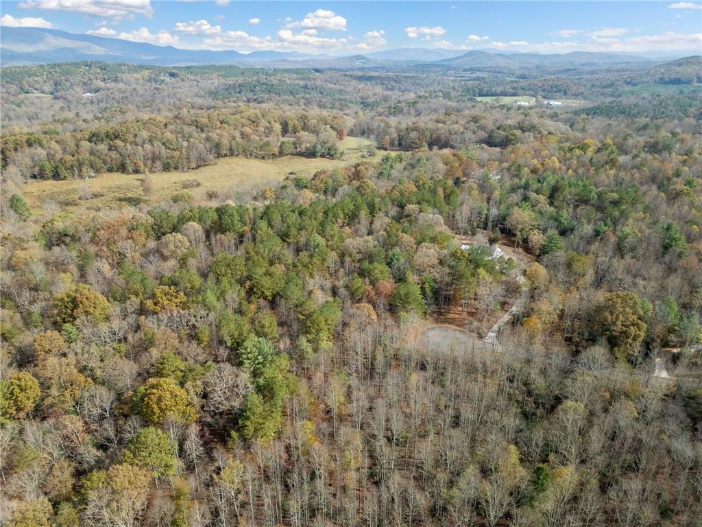 7 Highpoint Ridge Road Ellijay, GA 30536 - Photo 18 of 25 Gallery Image 18