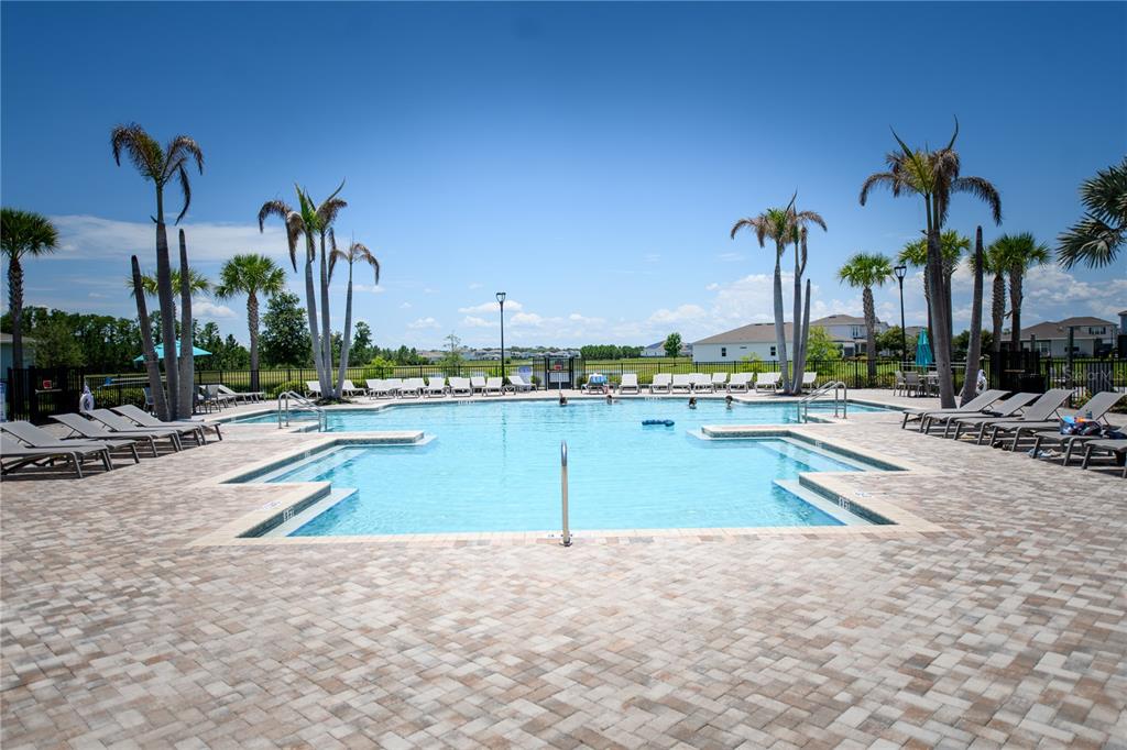 10746 Pahokee Beach Place Orlando, FL 32827 - Photo 62 of 67 a view of a swimming pool with a lawn chairs and palm tree