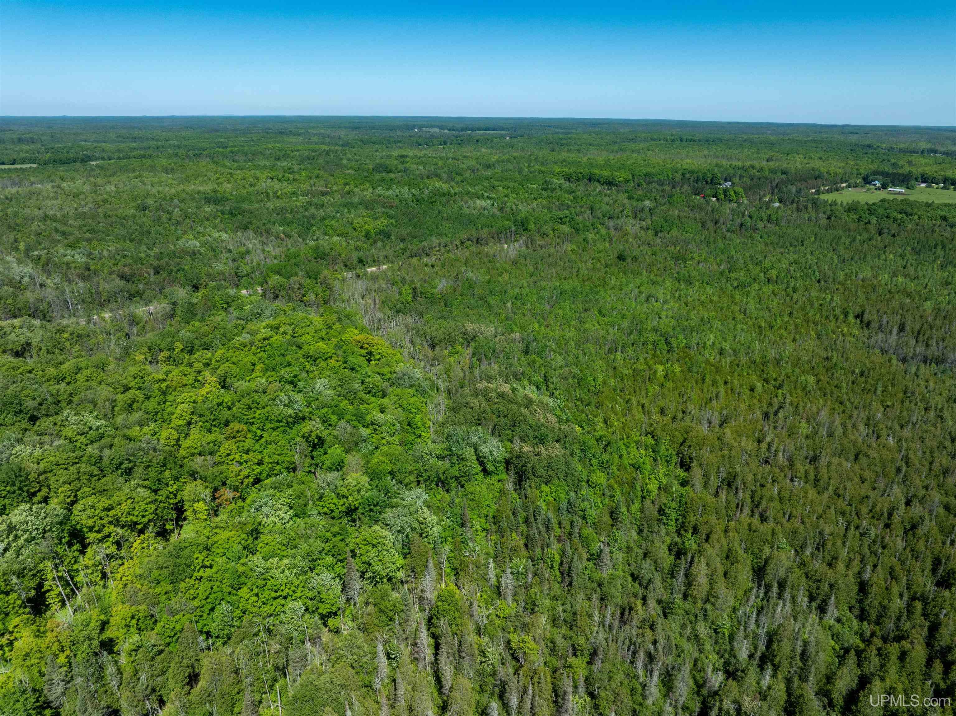 M67 Rd Trenary Mi 49816 Road Chatham, MI 49816 - Photo 5 of 12
