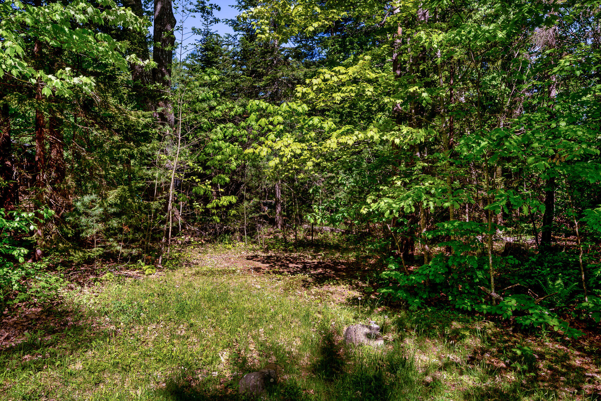 100 Riverside Drive Camden, ME 04843 - Photo 3 of 26 100 Riverside - CarlyZaniboni-24