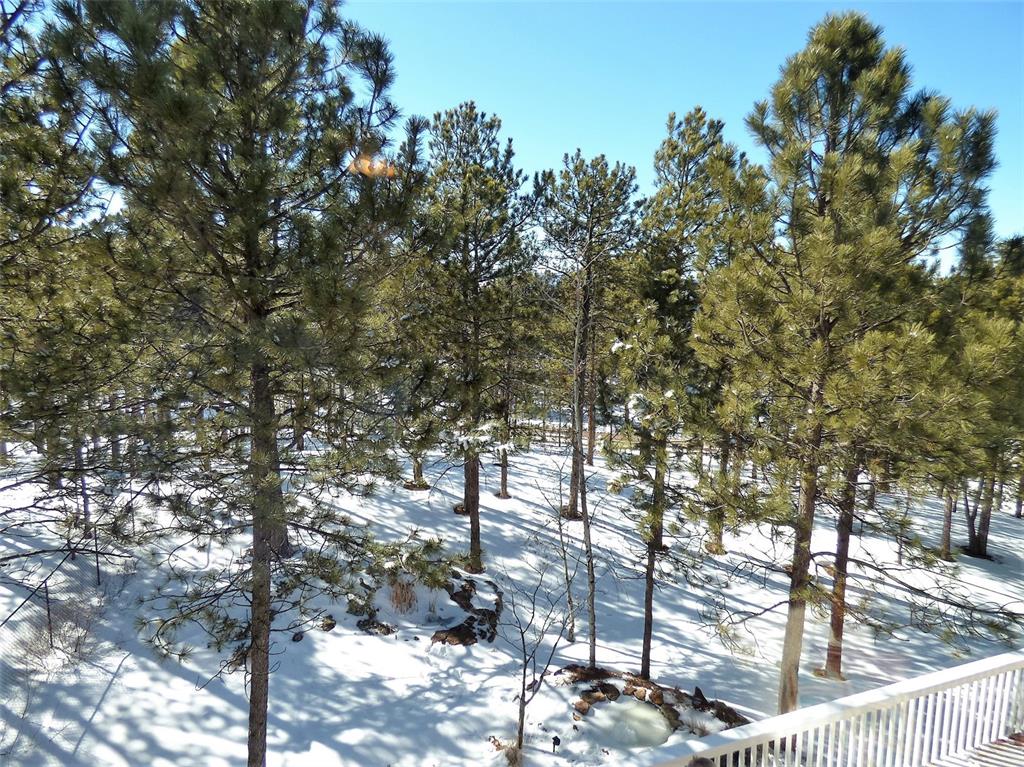 450 Lariat Loop Monument, CO 80132 - Photo 2 of 34