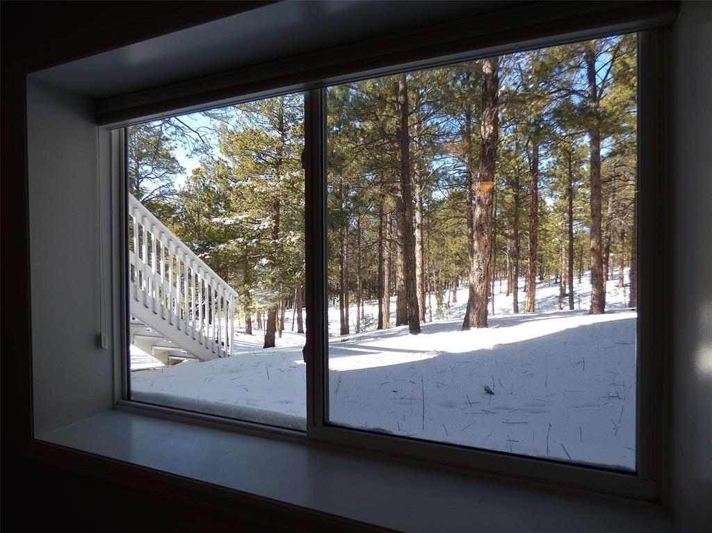 450 Lariat Loop Monument, CO 80132 - Photo 25 of 34