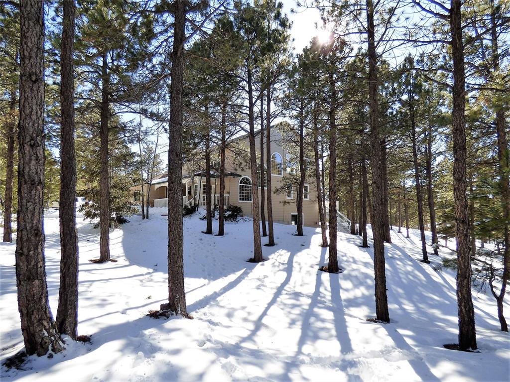 450 Lariat Loop Monument, CO 80132 - Photo 30 of 34