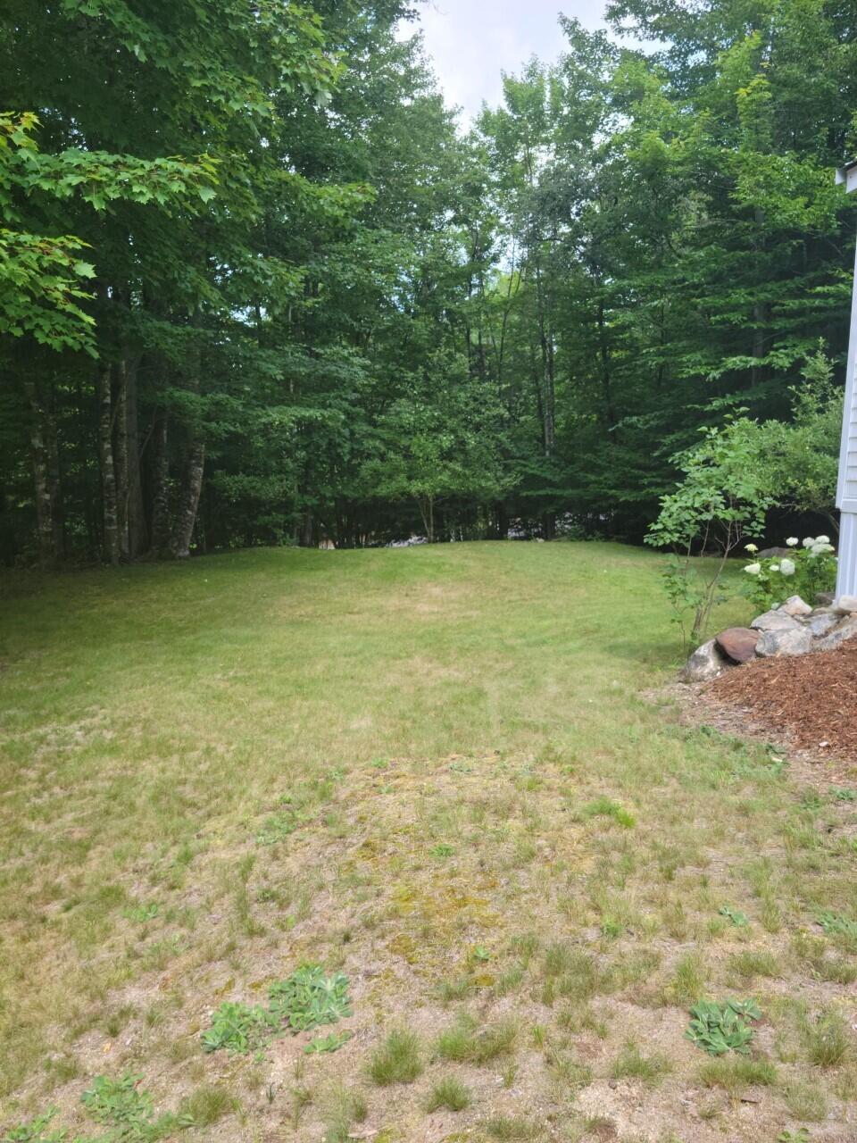 39 Reservoir Road South Paris, ME 04281 - Photo 30 of 35 Front Yard