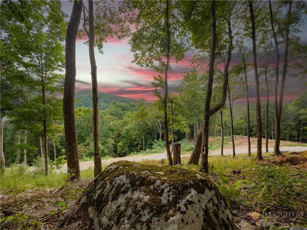 C120 Springwater Lane Banner Elk, NC 28604 - Photo 1 of 13