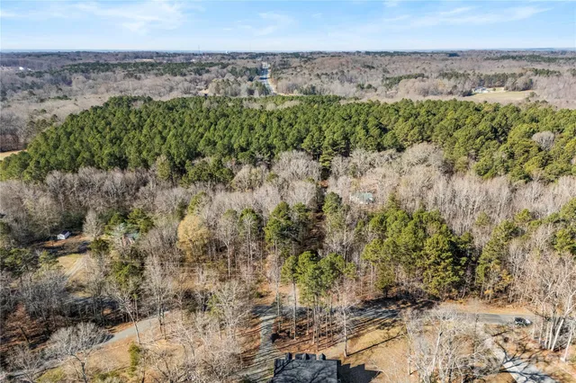 a view of a dry yard with trees