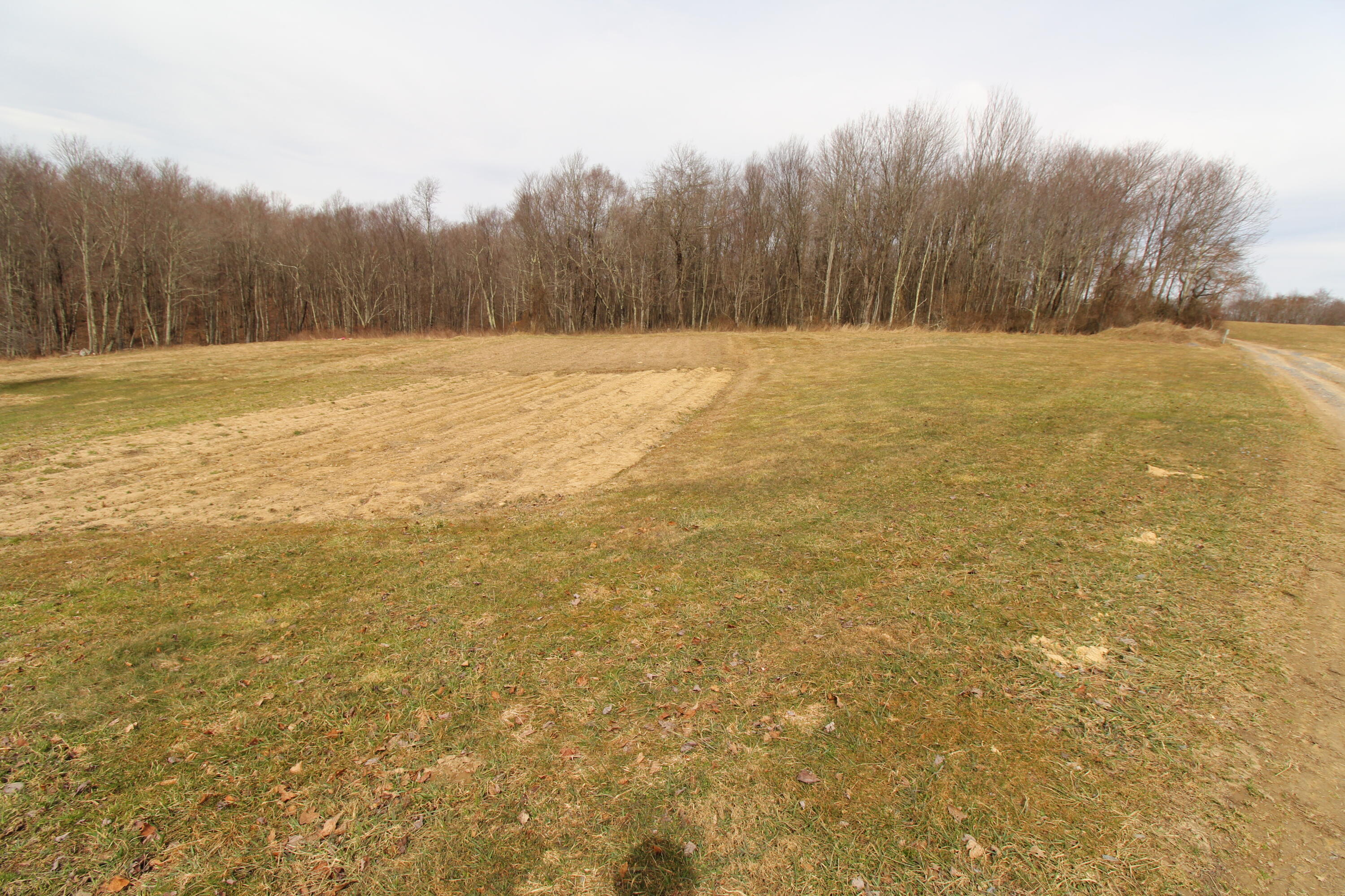 1357 Chestnut Mountain Road Hinton, WV 25951 - Photo 5 of 32 Gallery Image 5