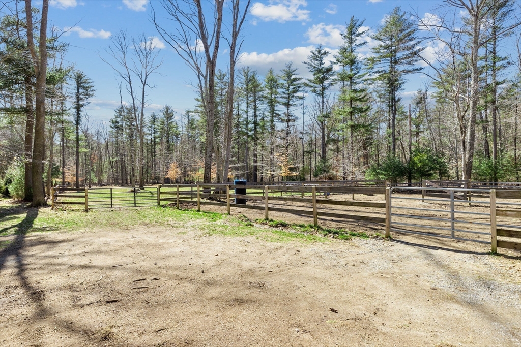 742 Broadway Hanover, MA 02339 - Photo 27 of 42 a view of backyard with green space
