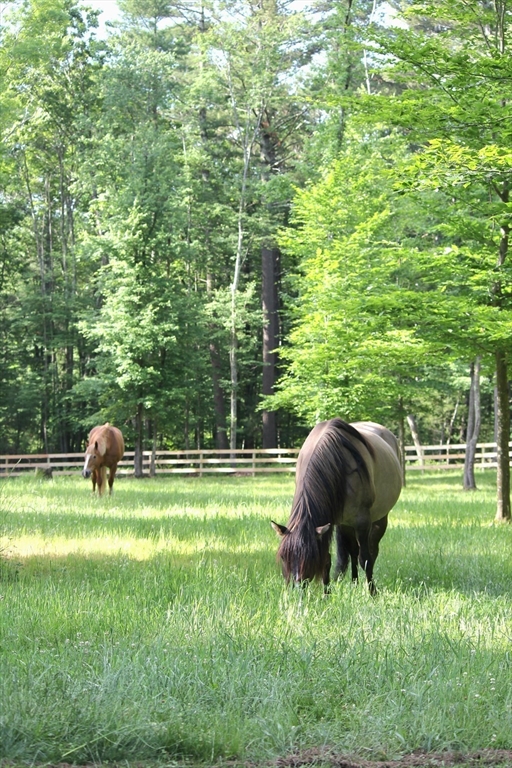 742 Broadway Hanover, MA 02339 - Photo 41 of 42