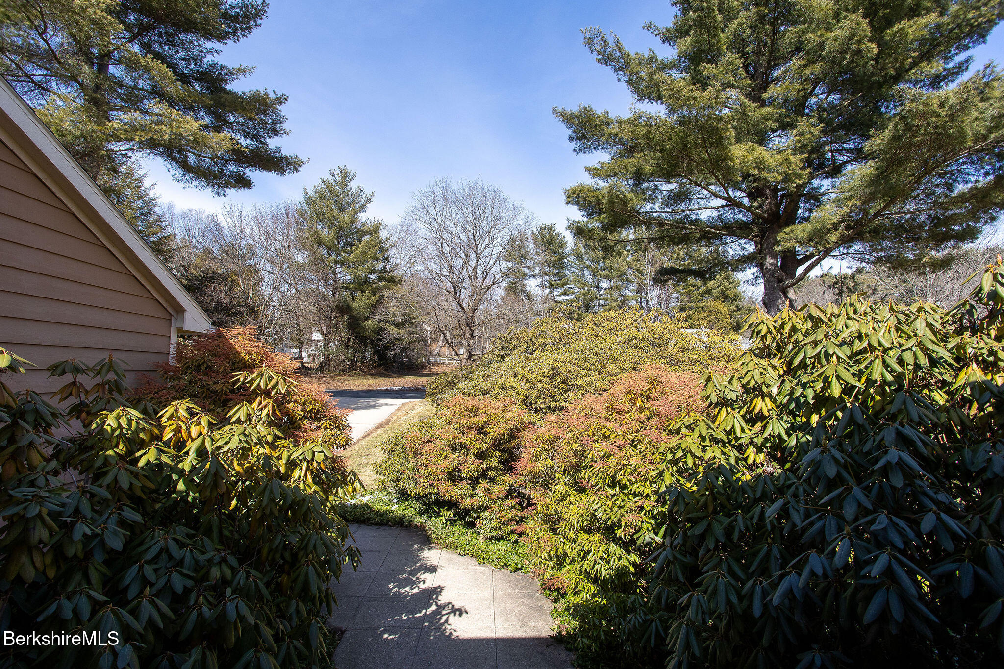 103 Gravesleigh Terrace Pittsfield, MA 01201 - Photo 4 of 46 a view of a garden with plants