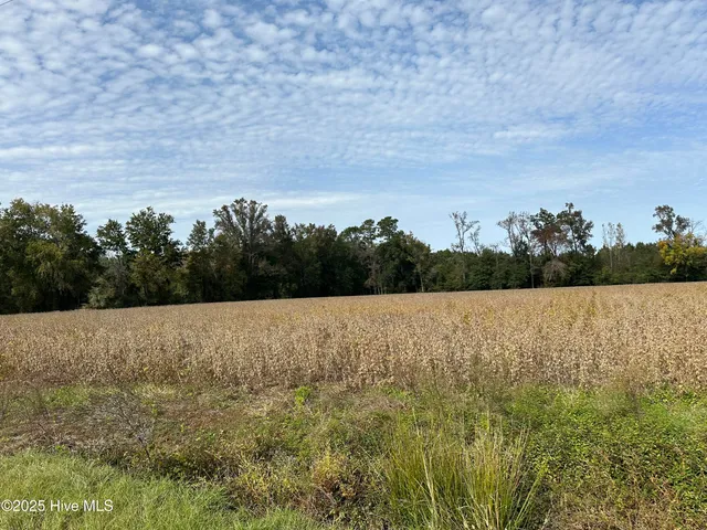 $543,000 | 644 Cherry Town Road, Hallsboro, NC 28442