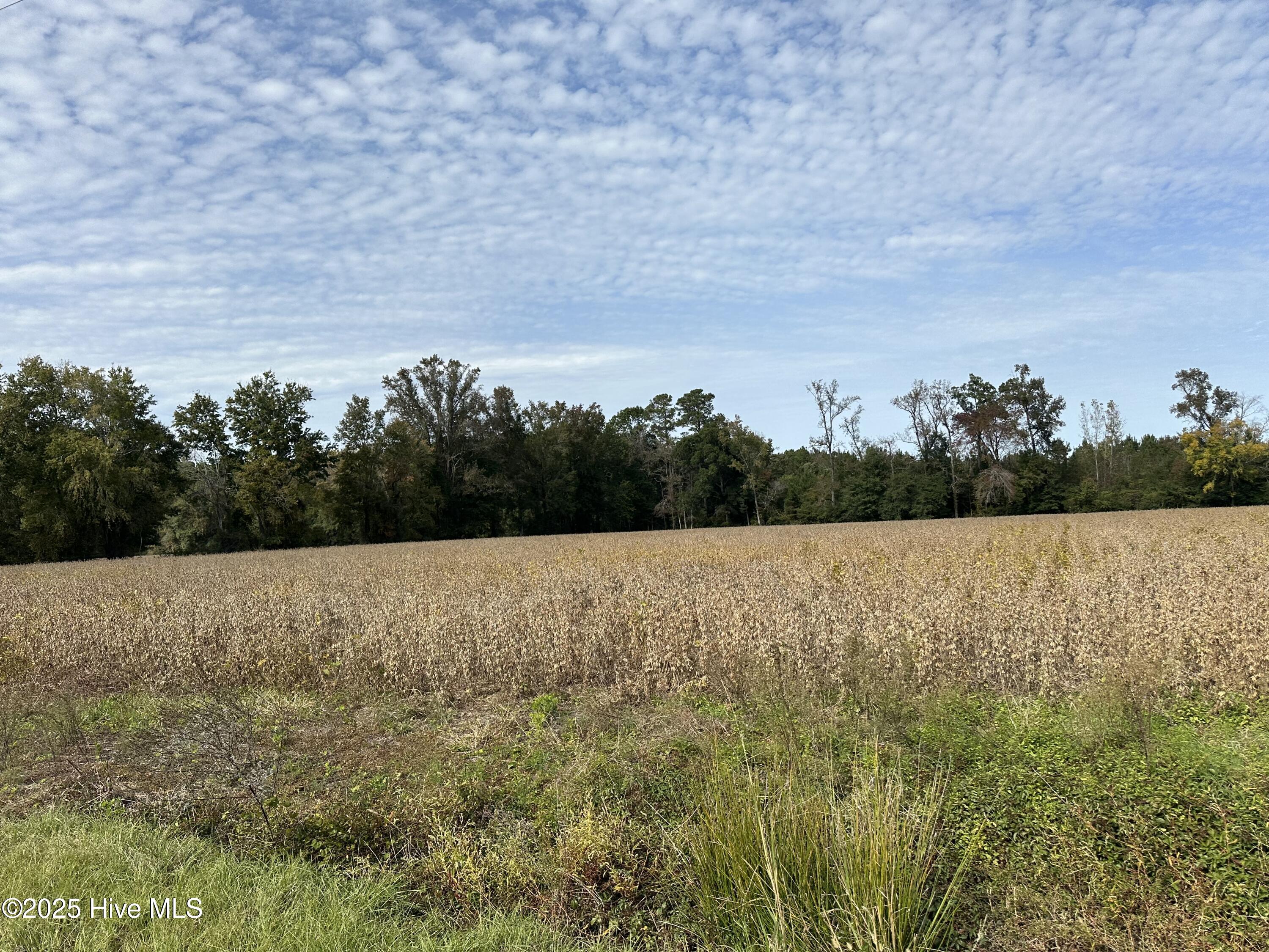 644 Cherry Town Road Hallsboro, NC 28442 - Photo 12 of 12 IMG_6145