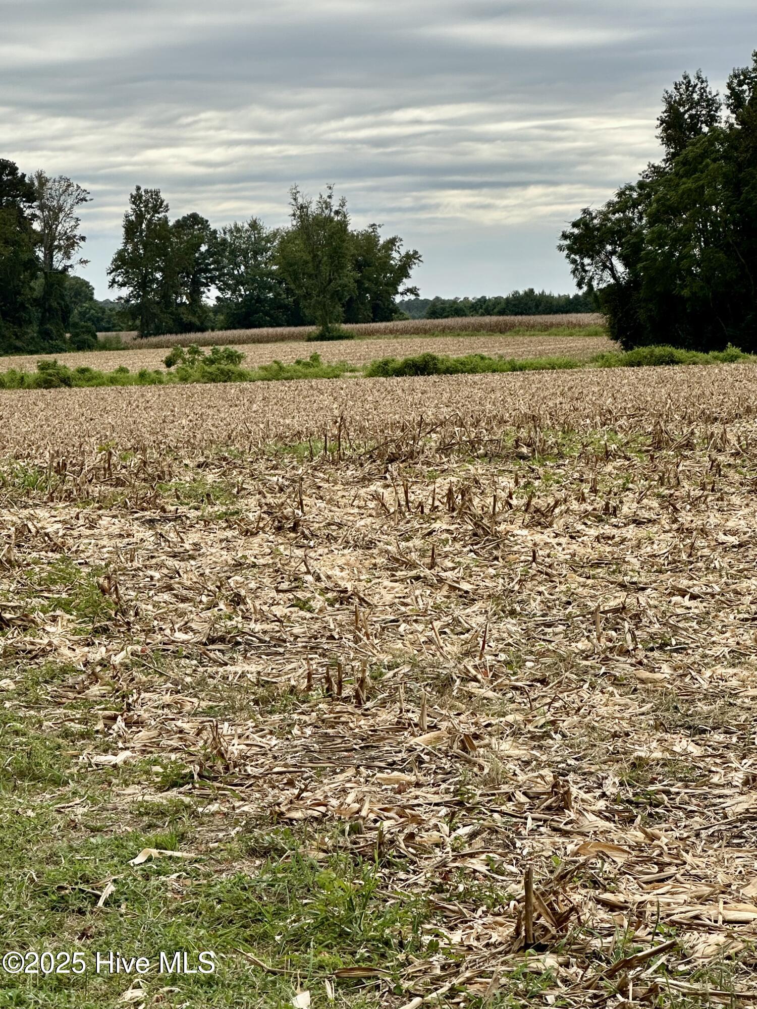 644 Cherry Town Road Hallsboro, NC 28442 - Photo 4 of 12 IMG_5359