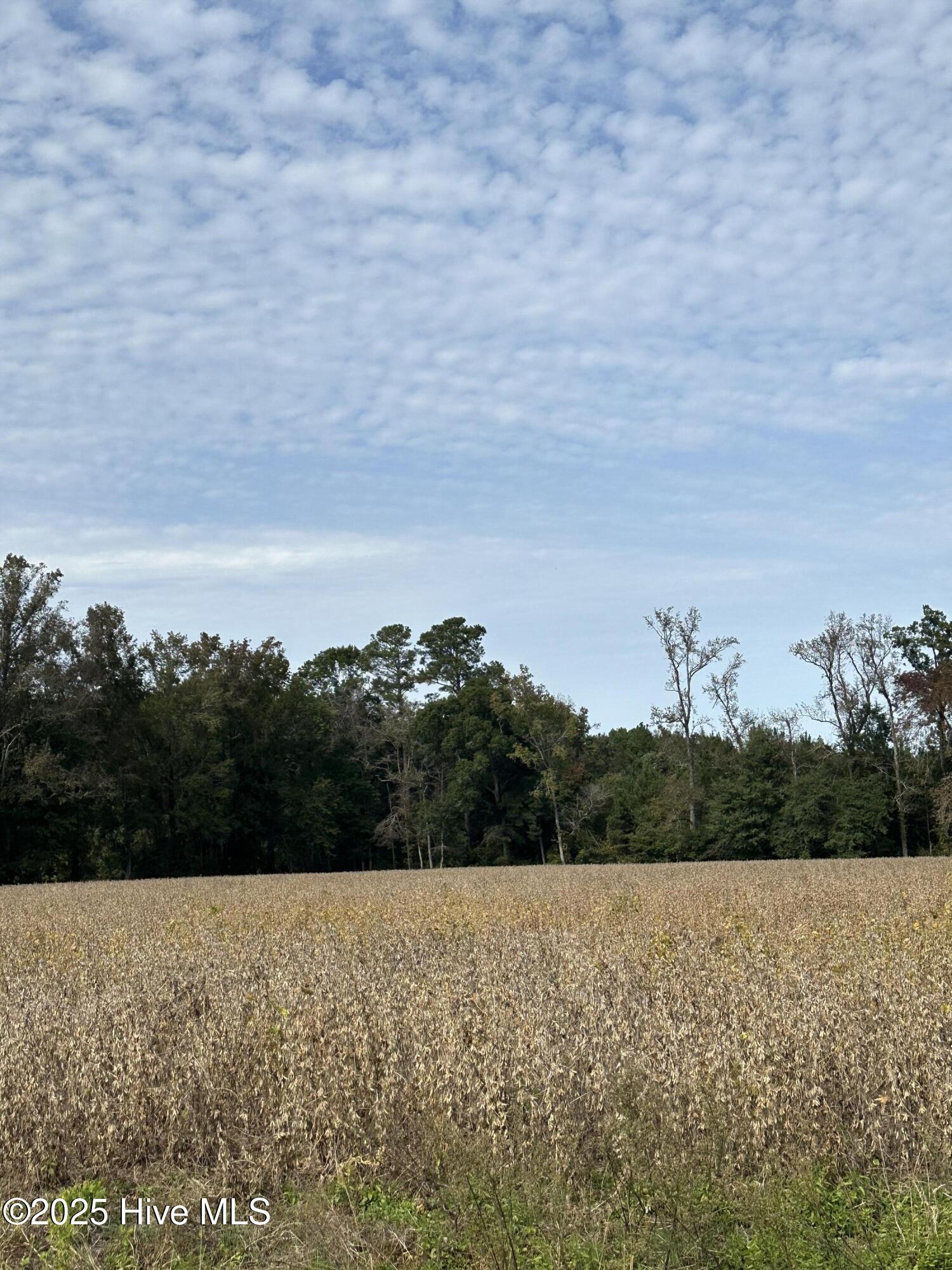 644 Cherry Town Road Hallsboro, NC 28442 - Photo 9 of 12 IMG_6148