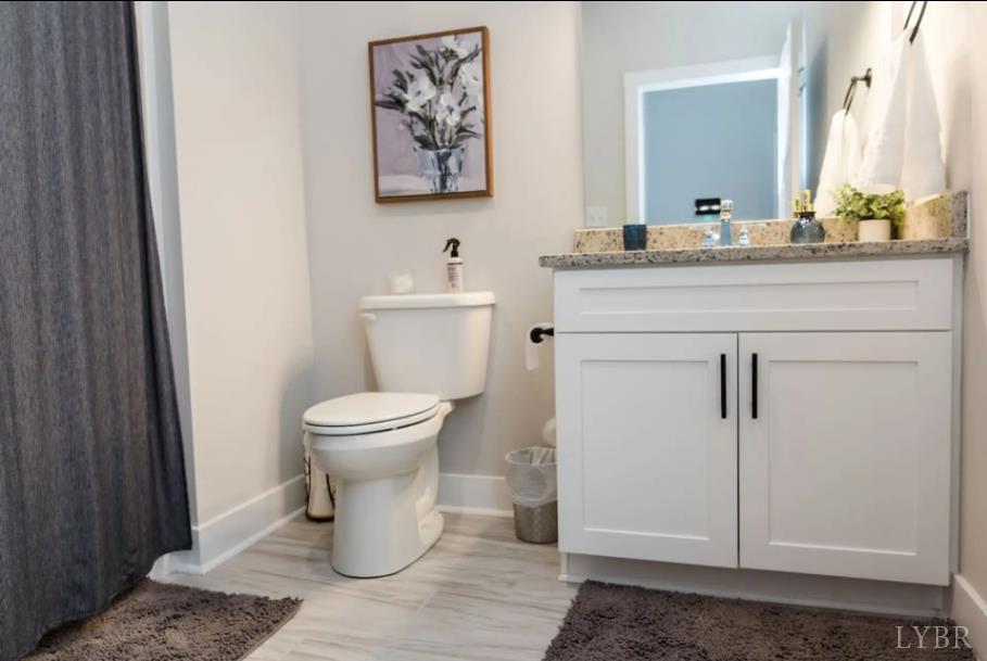 1300 Stoney Ridge Boulevard, Unit 101 Forest, VA 24551 - Photo 5 of 18 a bathroom with a toilet sink and mirror