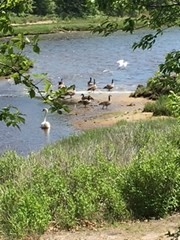 21 Old Head Of Bay Road, Unit 1 Bourne, MA 02532 - Photo 16 of 20